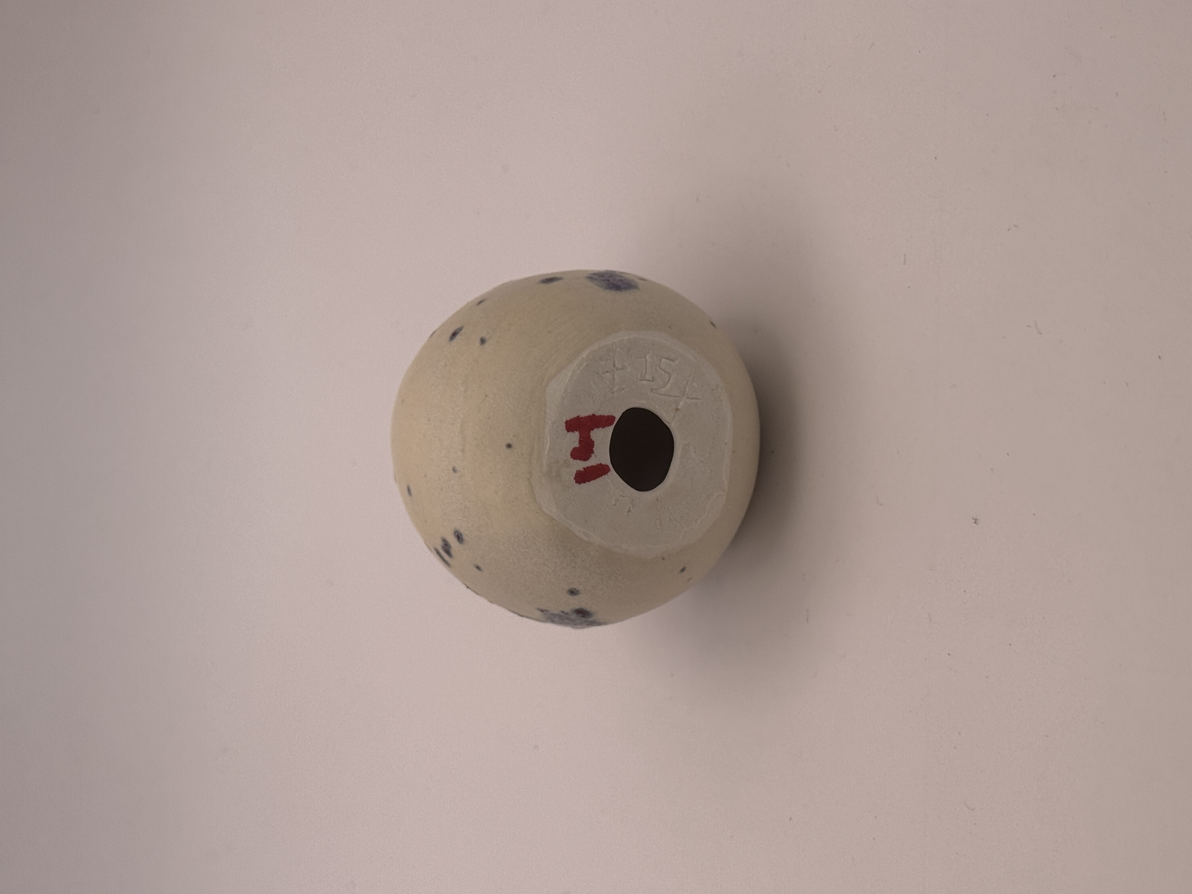 No. 14 · Egg Frown view 2