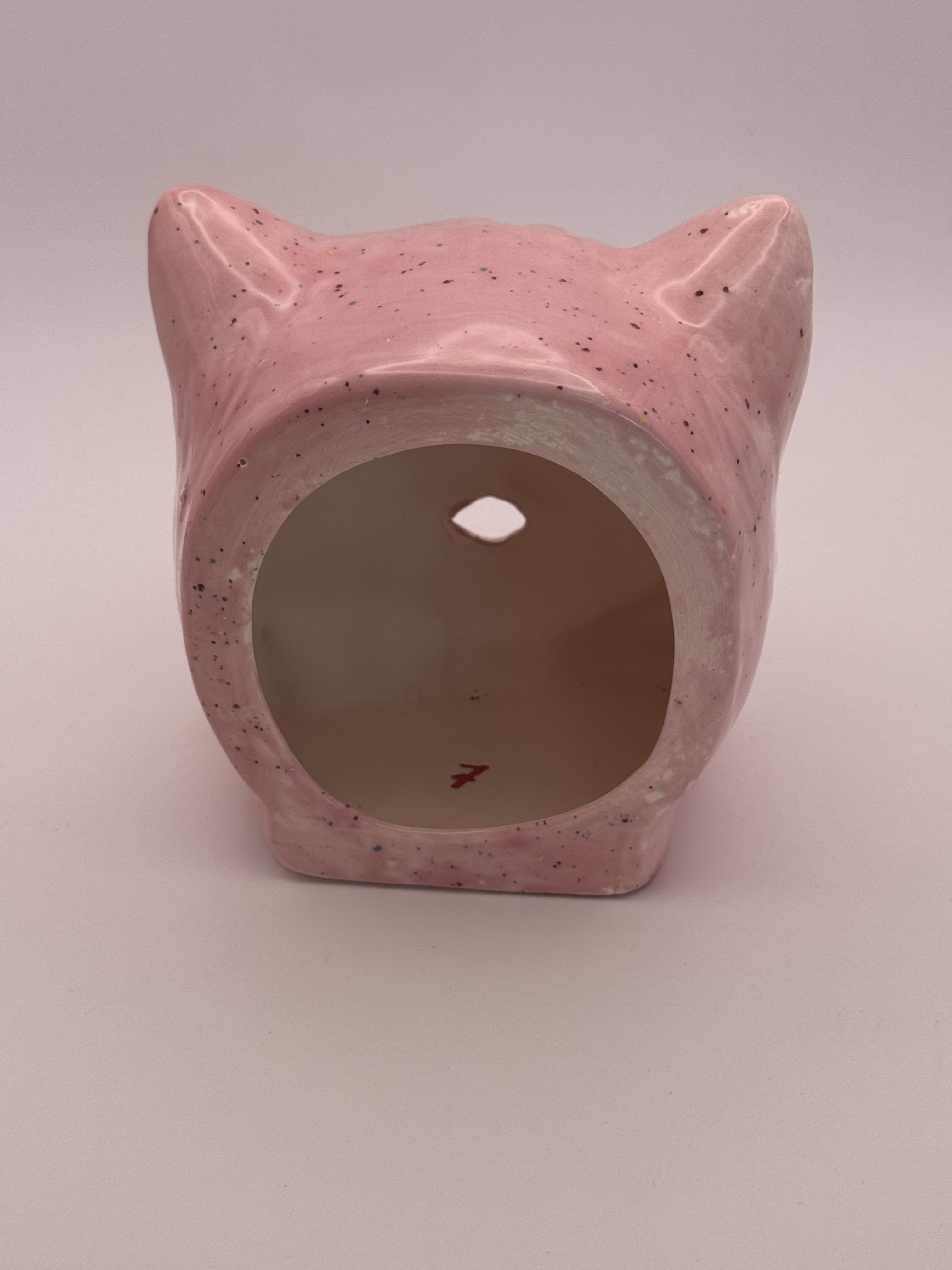 No. 7 · Cat Head view 2